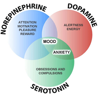 dopamine brain