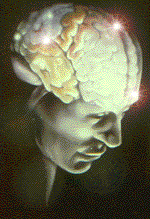 http://altered-states.net/barry/graphics/brainanin2.gif