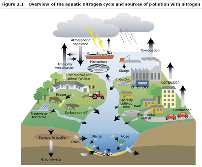 Chemical Fertilizer on Water   Chemical Fertilizers And Pesticides Leached