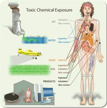 chemical exposure body toxic burden definition implication agent toxins va prevent allergic medical orange created reactions claims veterans exposed journey