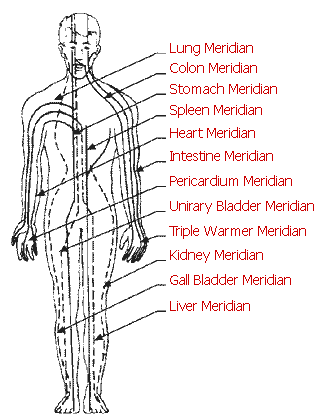 Body Meridians