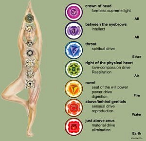 Image result for seven chakras found inside your physical body.