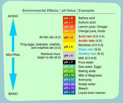 What is the pH level of hydrochloric acid?