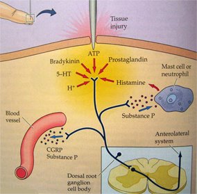 Skin Pain