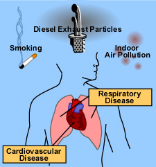 Is Air pollution Damaging our Health Now?
