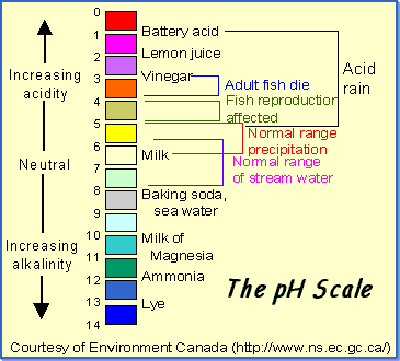 What is the pH of water?