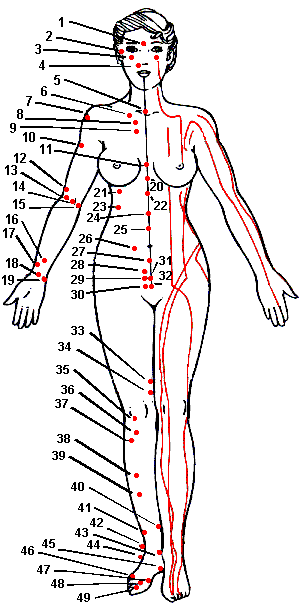 Meridian Energy Pen Chart