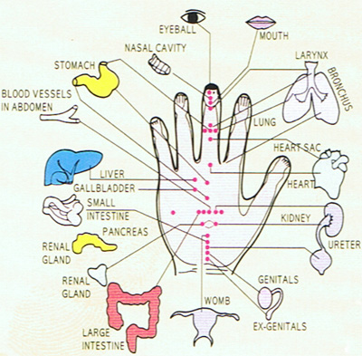 Meridian Energy Pen Chart