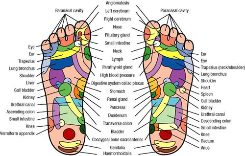 Sexual Pressure Points Chart