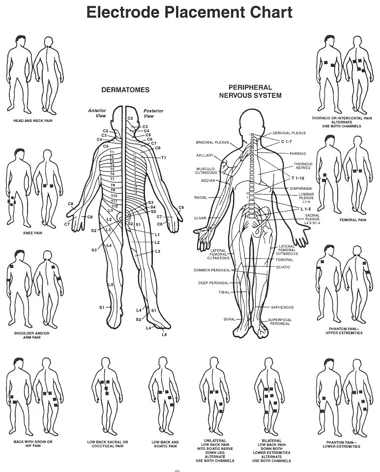 Transcutaneous electrical nerve stimulator (TENS)