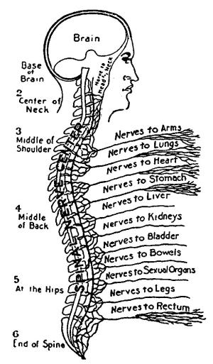 Physician's Directions for Renulife Treatments