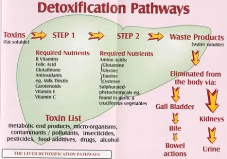 Detox Symptoms