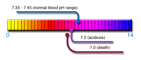 Body Ph Chart