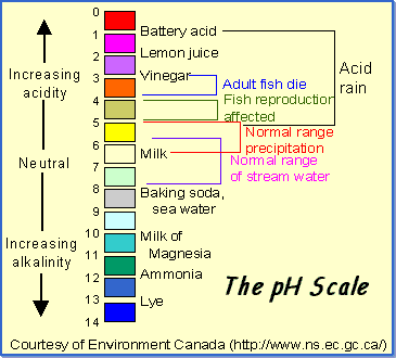 Ph Levels In Urine Chart