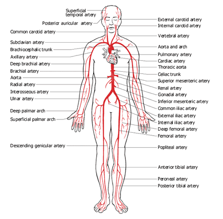 Understanding Ozonated Water